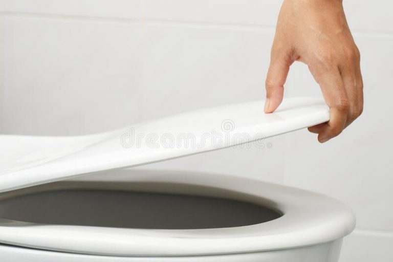 Why You Should Always Put The Lid Down When You Flush The Loo Challis